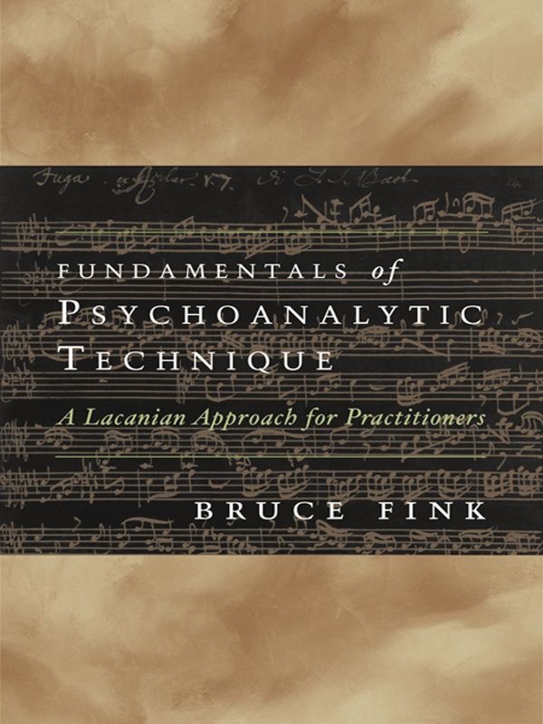 Fundamentals-of-psycnoanalytic-tecnique-a-lacanian-approach-for-practitioners-bruce-fink.jpg