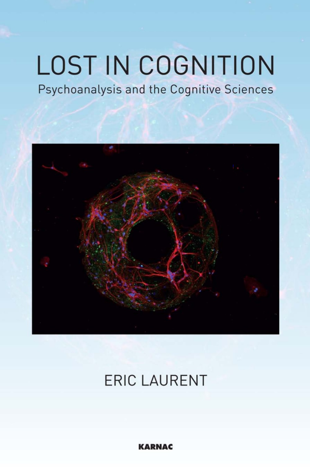 Eric-laurent-lost-in-cognition-psychoanalysis-and-cognitive-sciences-theoryleaks.jpg