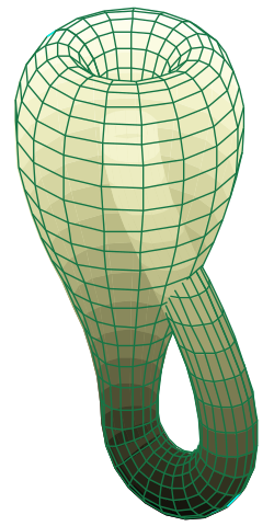 File:Klein bottle.png