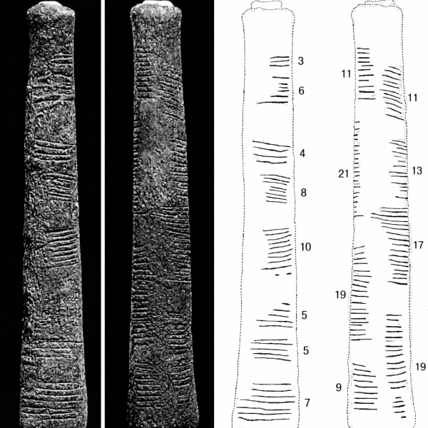 File:Ishango bone.png