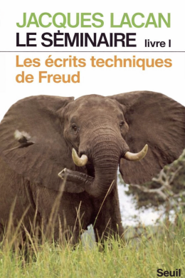 Freud’s Papers on Technique